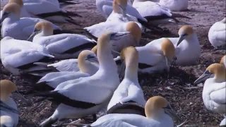 Adatvédelmi törvény